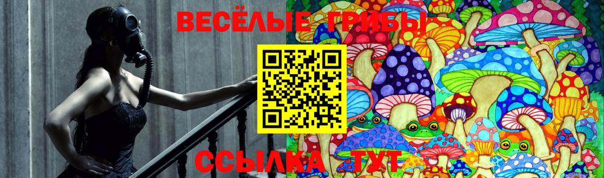 Сосновоборск  Галлюциногенные грибы Psilocybe  Галлюциногенные грибы мицелий  Вход с VPN 